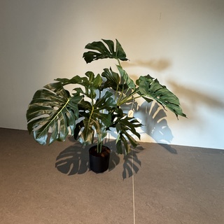Kunstplant Colours&Green, Plant Split Philo